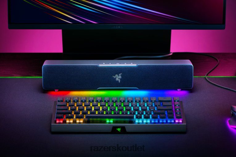 Razer herný zvuk jedna farba leviathan v2 x ZNL2NV84